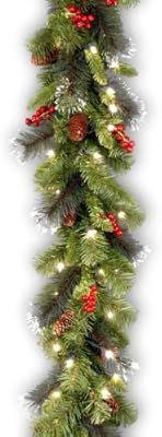National Tree 9 Foot by 10 Inch Crestwood Spruce Garland with Silver Bristle, Cones, Red Berries ... | Amazon (US)