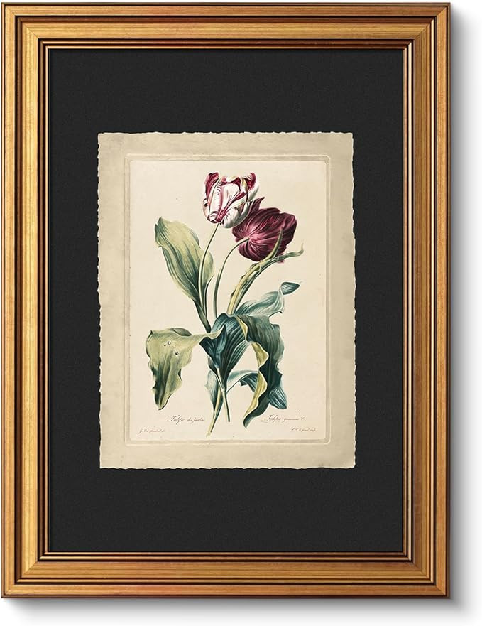 VIYYIEA Vintage Gold Framed Wall Art, Aesthetic Botanical Red Tulip Canvas Prints Paintings, Farm... | Amazon (US)