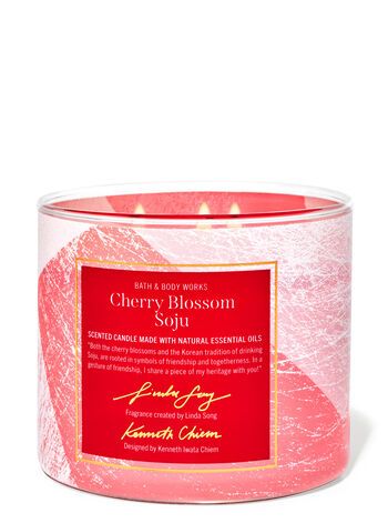 Cherry Blossom Soju


3-Wick Candle | Bath & Body Works
