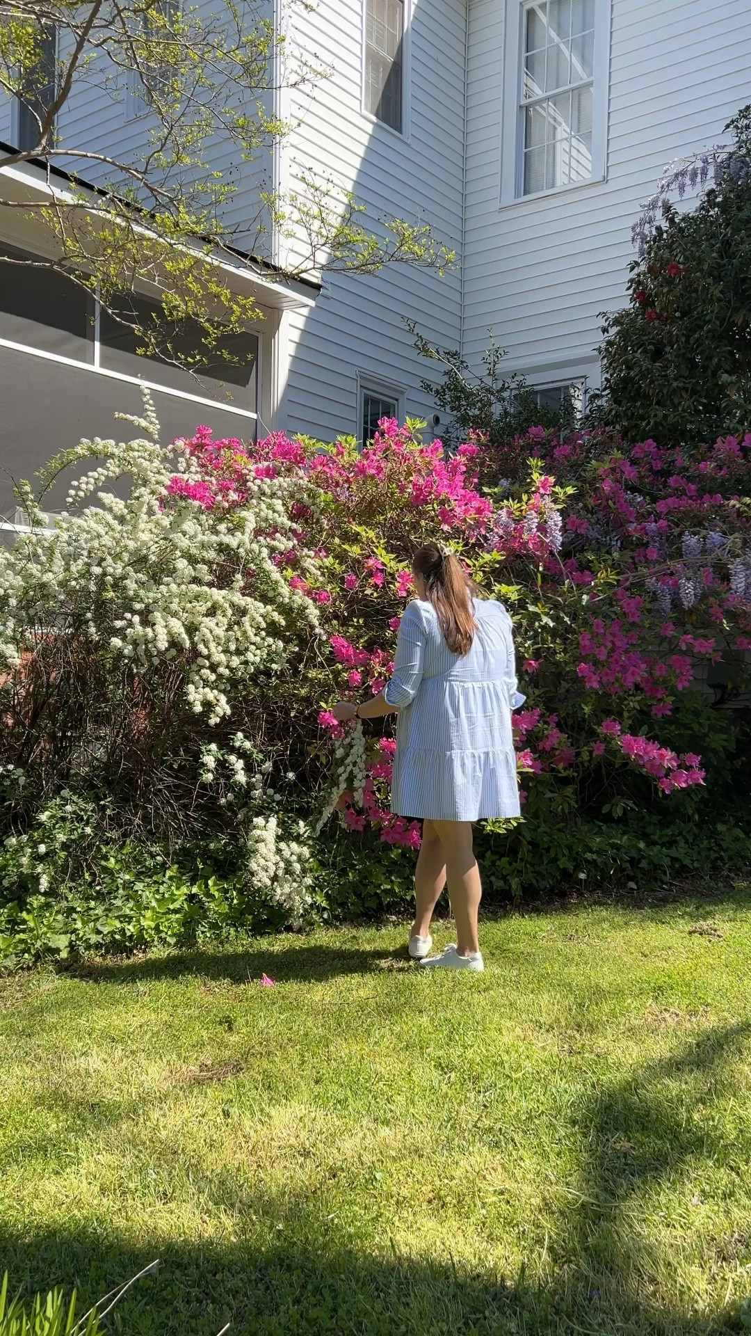 Shirt dress 
Blue and white shirt dress 