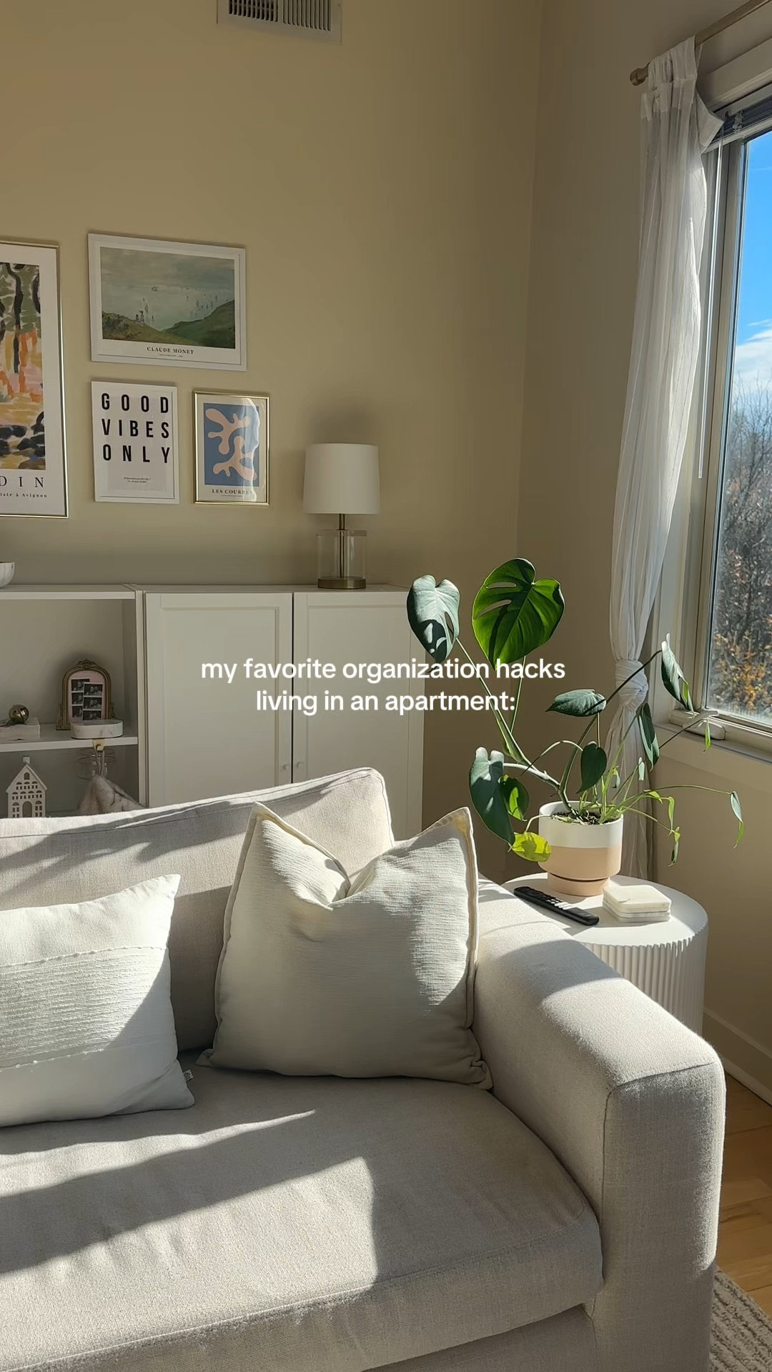 my favorite organization hacks living in an apartment!

#LTKSaleAlert #LTKFindsUnder50 #LTKHome