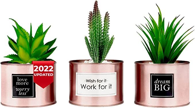 Office Decor for Women Desk- Rose Gold Decor Desk Plant For Bookshelf Decor, Boho Bedroom Decor F... | Amazon (US)