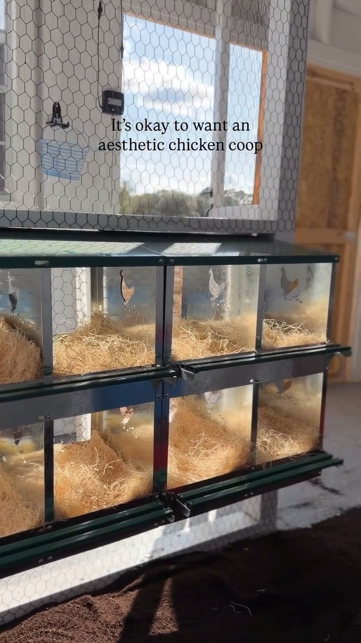 I know they’ll make it gross, but atleast I’ll try to make it pretty in the meantime 🥰🐓
.
.
.
.
.
.
.