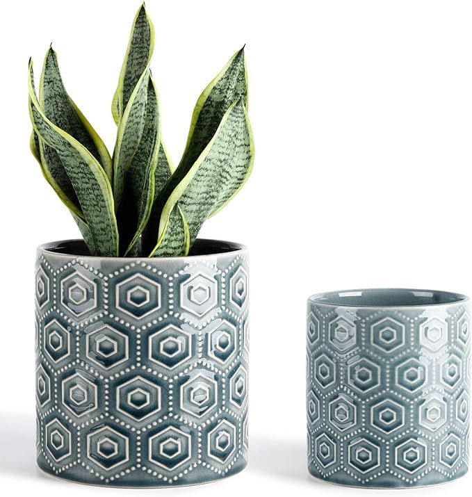 Greenaholics Hexagon Pattern Ceramic Planters - 5 + 6 Inch Plant Pots with Drainage Hole, Flower ... | Amazon (US)