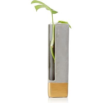 Amazon.com: Propagation Station Minimalist Concrete and Glass Bud Vase with Gold Base : Patio, La... | Amazon (US)