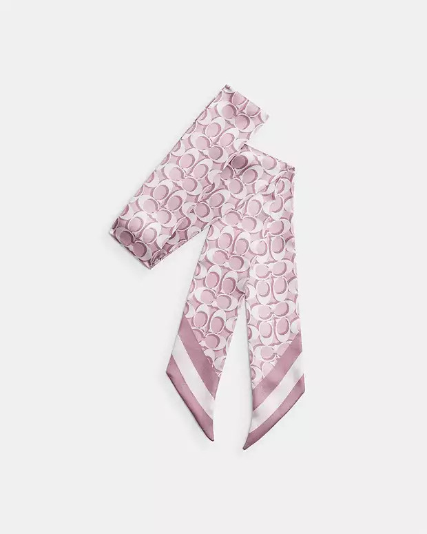 Signature Print Silk Skinny Scarf | Coach Outlet US