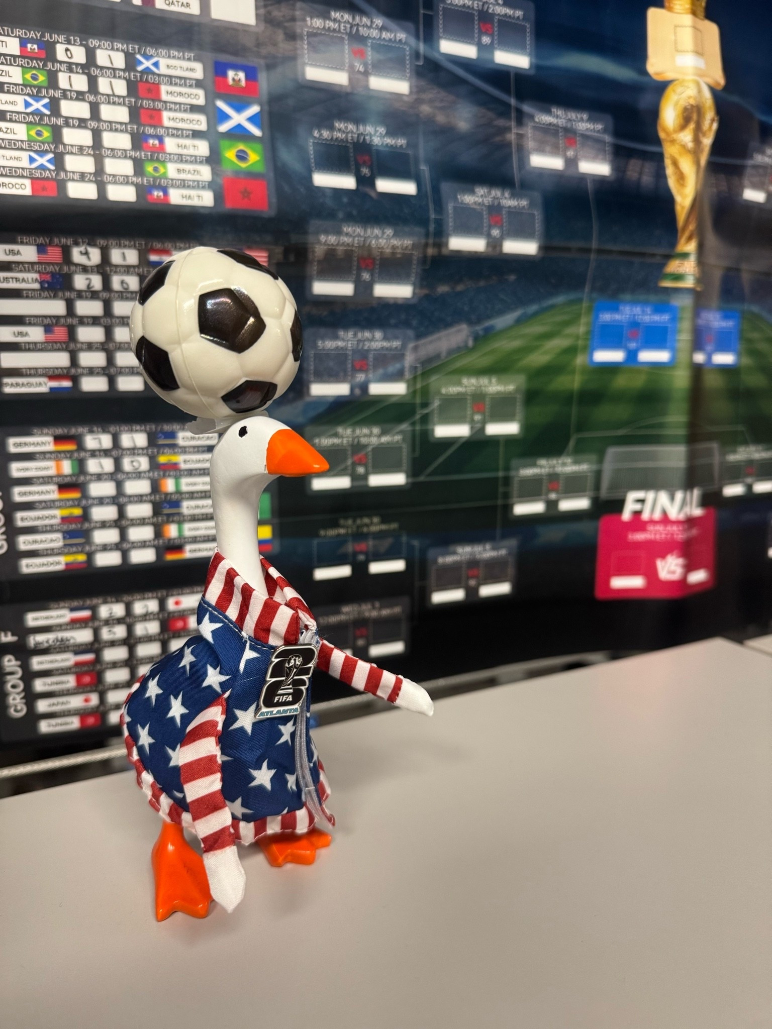 Cheering on the World Cup with cup with my cute desk goose!! 

#soccer #fifa #worldcup #porch #goose #summer #vacation #outfits

#LTKootd #LTKgrwm #LTKActive