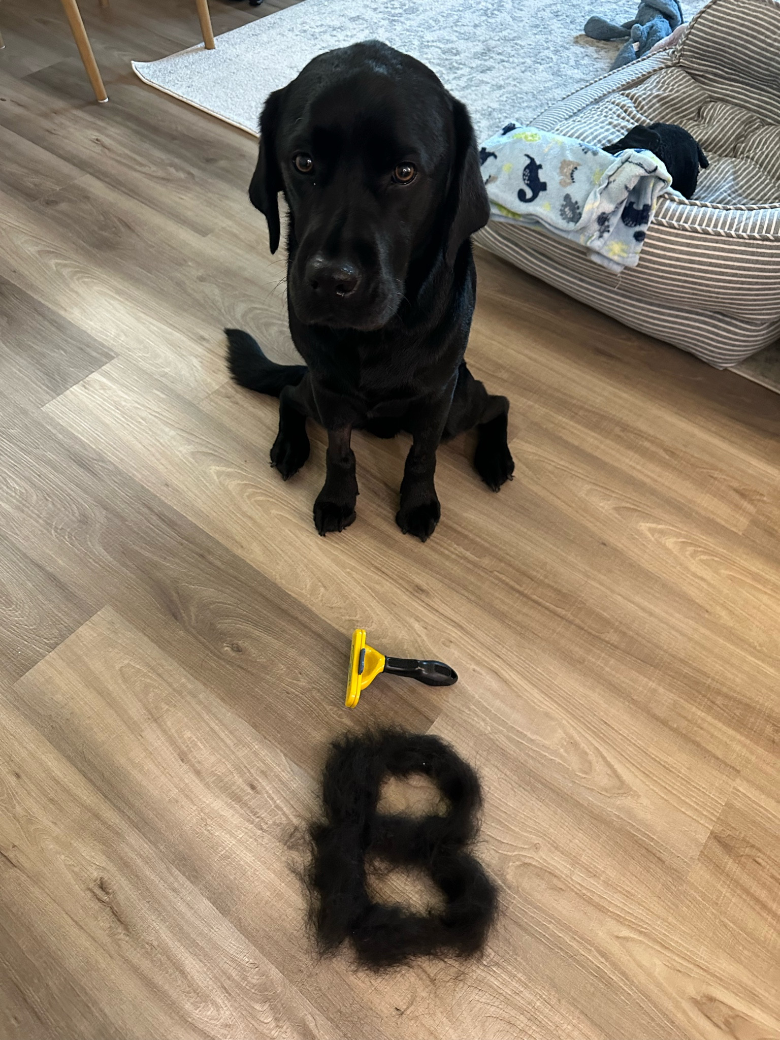 The best brush for deshedding 