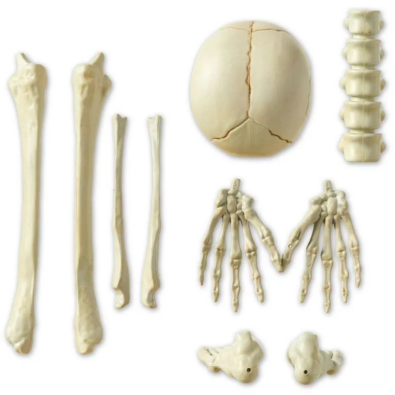 Halloween 12-Piece Plastic Bag of Lifesize Bones Decor in Bone Color by Way To Celebrate | Walmart (US)