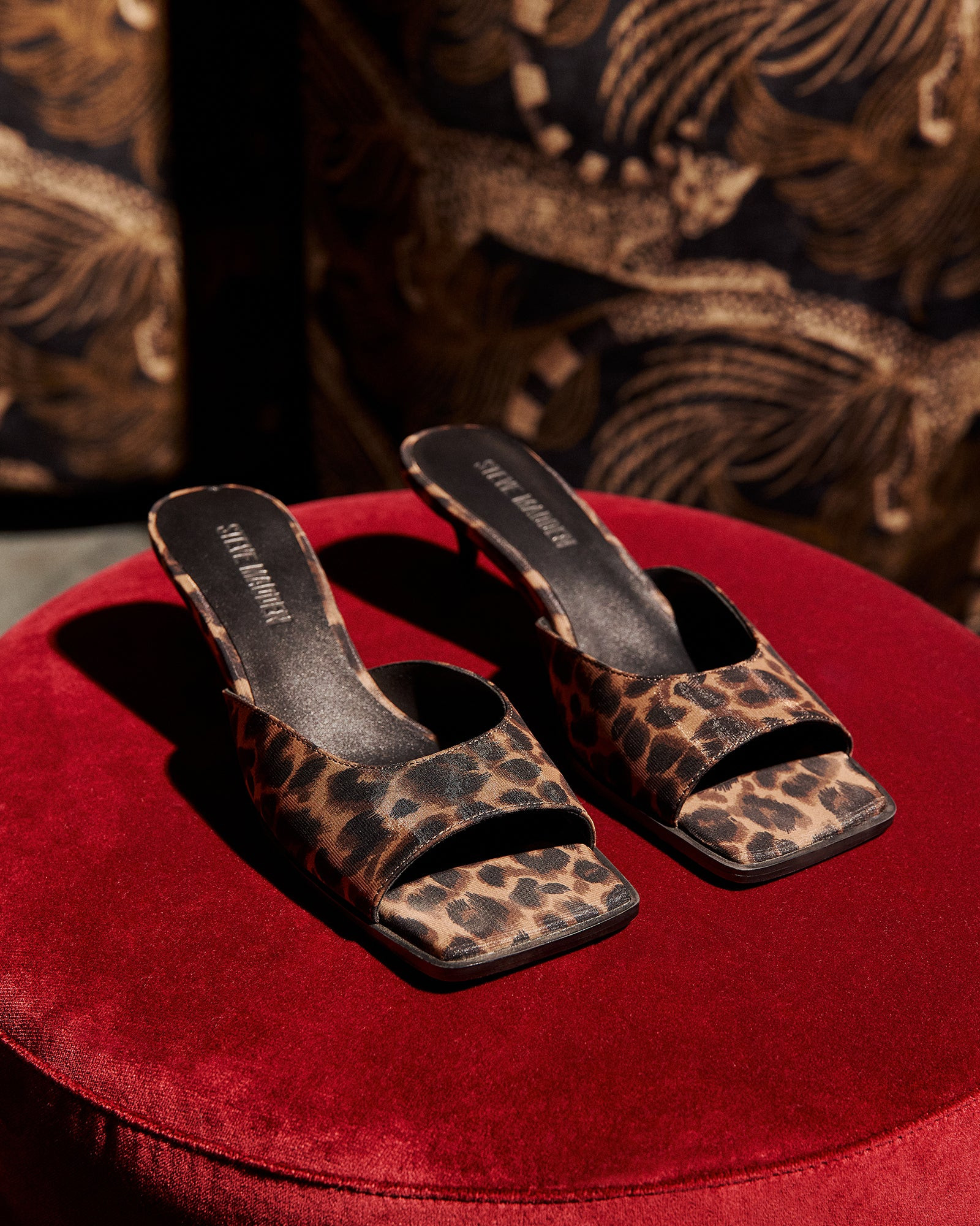 GEM Leopard Mule Kitten Heels | Women's Designer Heels | Steve Madden (Canada)