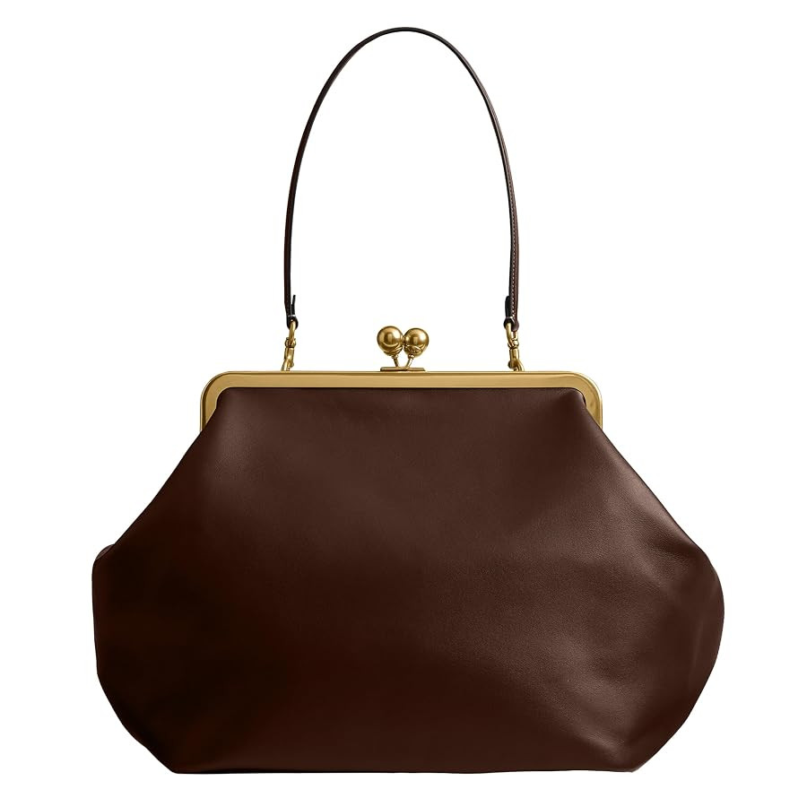 Coach Large Kisslock Frame Bag | Amazon (US)