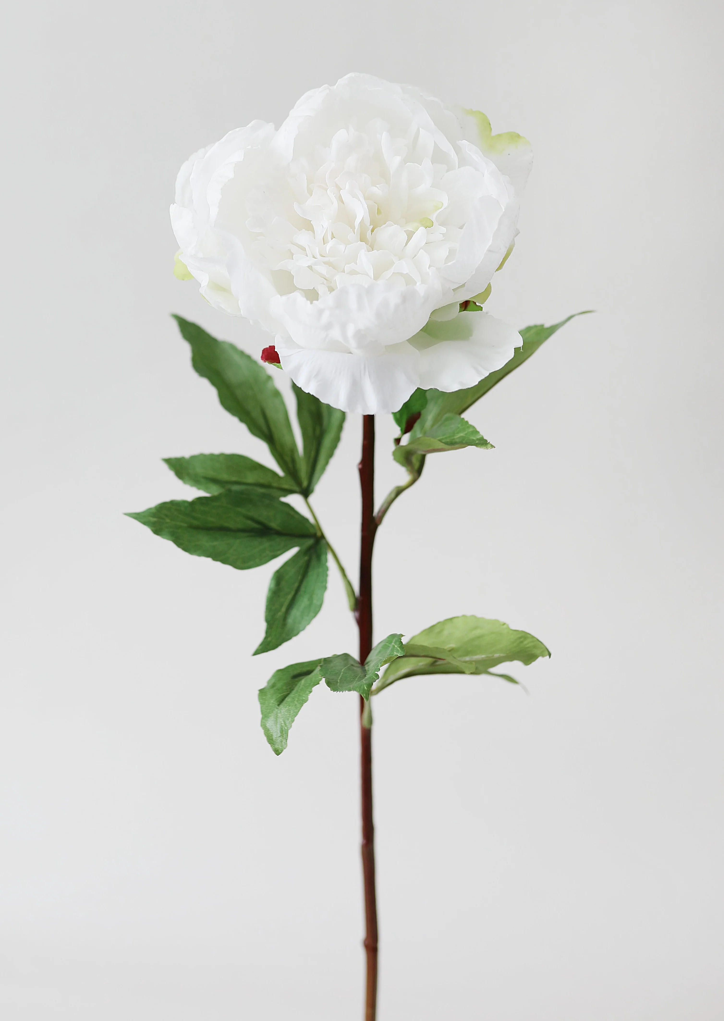 Real Touch Cream White Peony | Best Faux Flowers at Afloral | Afloral