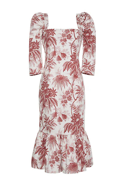 Busy Dress | Cara Cara New York