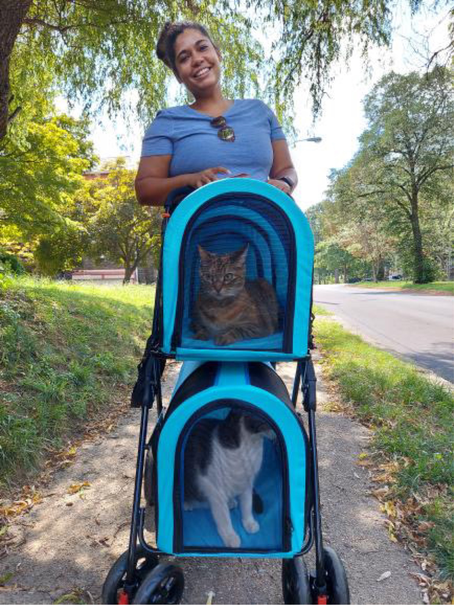 New cat stroller for family walks! 

#LTKfamily #LTKfit