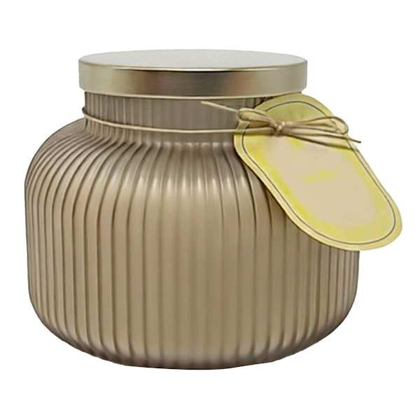 Vanilla Pumpkin Scented Glass Candle, 24oz | At Home