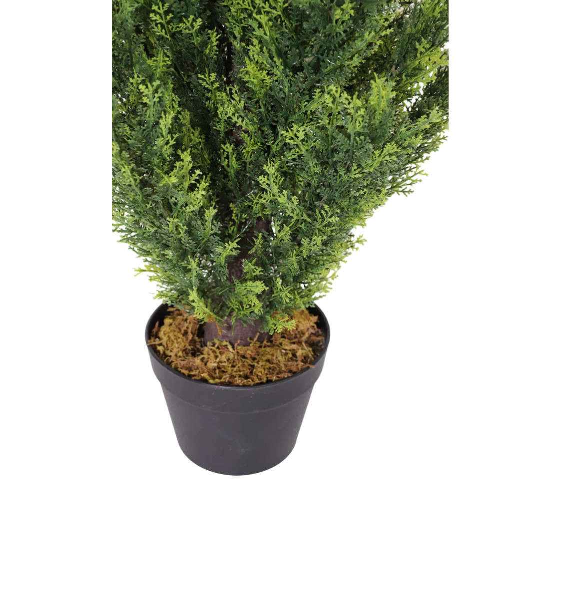 Shirlene Faux Cedar Tree Topiary in Pot (Set of 2) | Wayfair North America