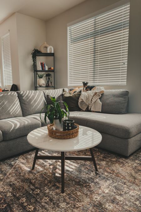 Living room set up #rug #roundcoffeetable