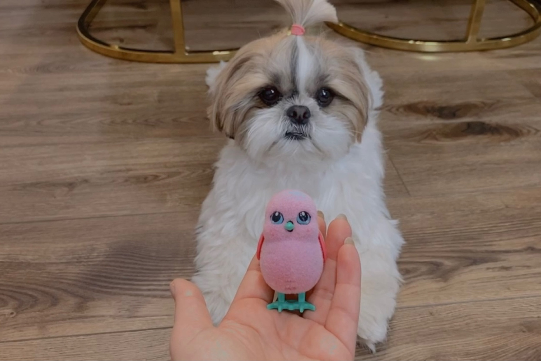 Chick toy

#LTKbaby #LTKFind #LTKkids