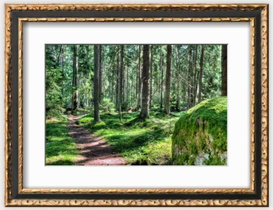 Green Forest Landscape in the Summer | Art.com