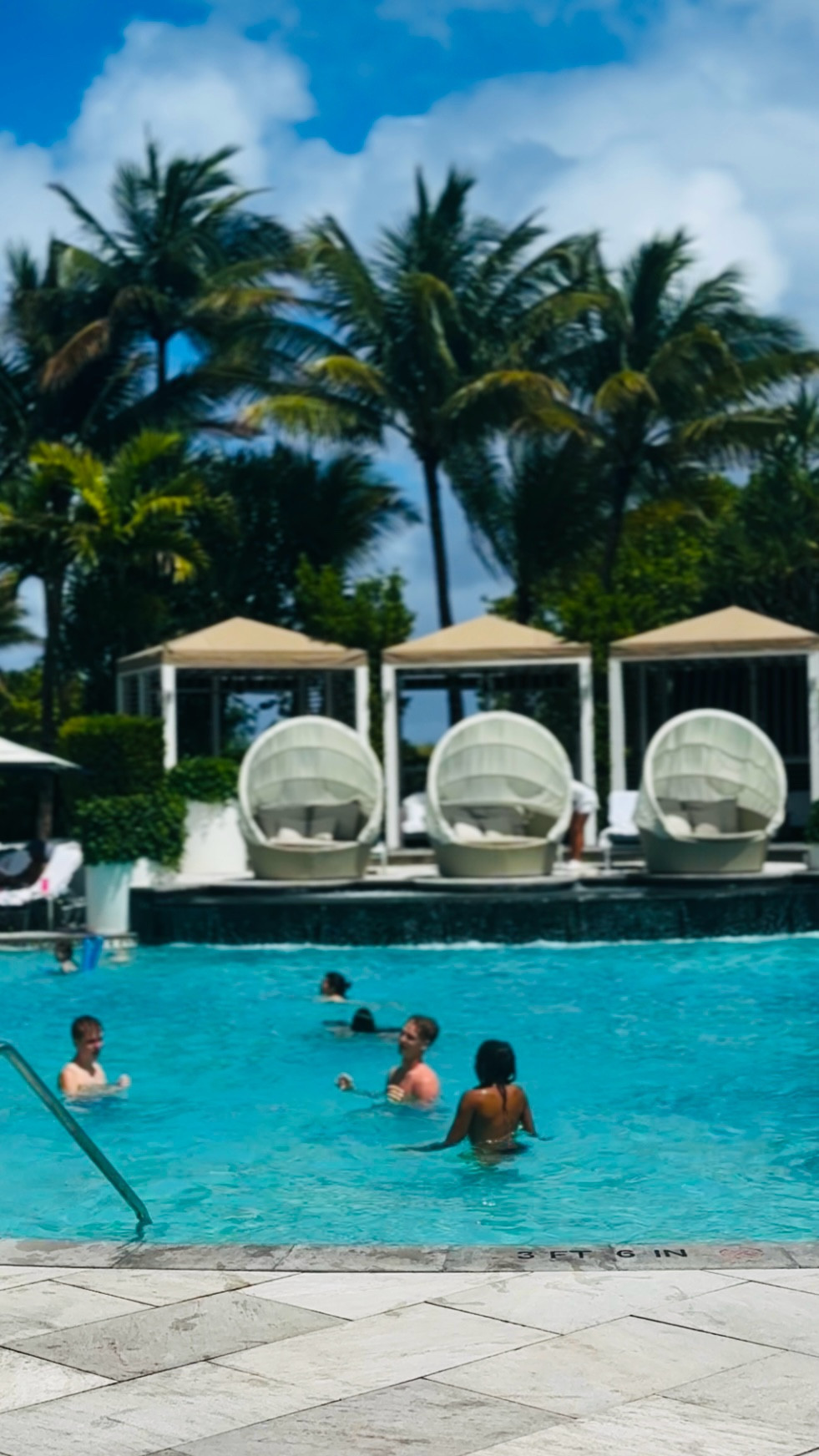 Loews South Beach Miami ✨ Collins Ave luxury with direct beach access, iconic oceanfront pools, private cabanas, Sea Spa, on-site dining at Rao’s, Pura Vida for daytime stops, and nightlife energy right in the heart of South Beach. This is the kind of Miami stay where pool days turn into dinner plans and late nights without ever needing to leave the property. Linking the best Miami pool bags, nightlife bags, luxe beach totes, resort-ready accessories, and vacation essentials inspired by this stay. Perfect for a South Beach getaway wardrobe.

Nirvana the Shih Tzu 💋 Nirvana Approved

#LTKTravel #LTKgrwm #LTKdayinmylife