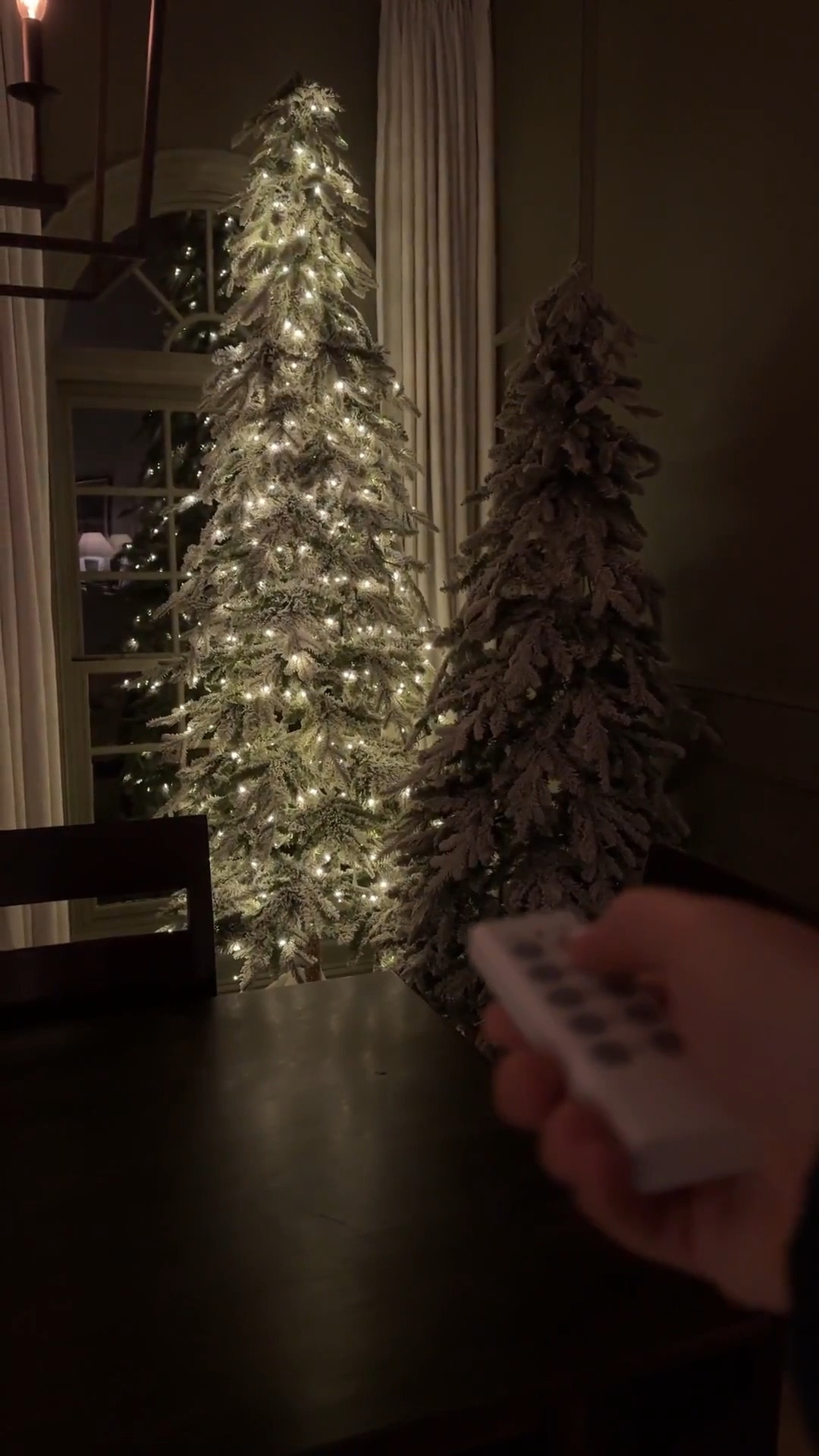 These remotes have changed the game for our lighted holiday decor! We no longer have to walk around manually plugging in and unplugging all our decor each day! 



#LTKCyberWeek #LTKSeasonal #LTKHoliday