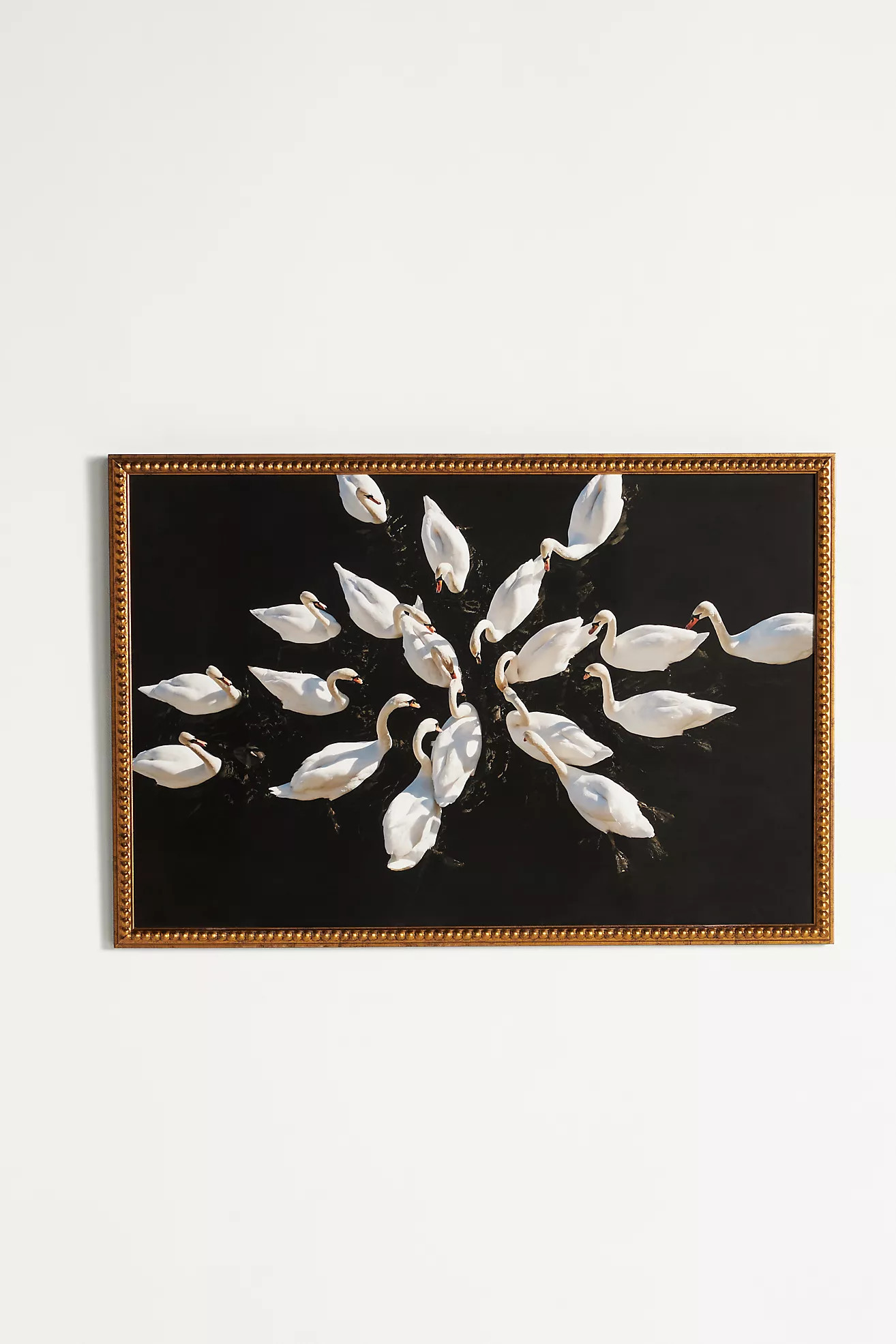 Romantic Swans in a Lake Bird Wall Art | Anthropologie (US)