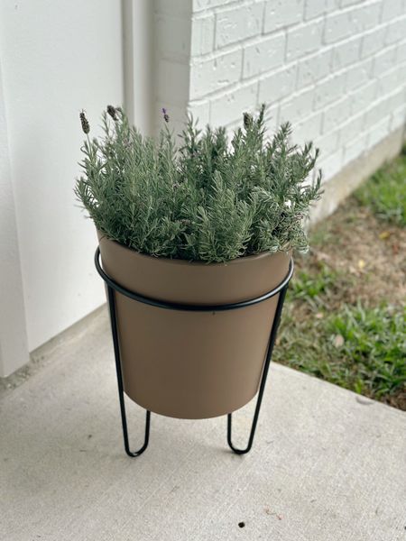 Attempt 500+ to become a plant lady butttt just got the cutest planter from Target! 🪴🎯

Planter, outdoor patio, patio decor, patio plants, patio refresh 

#LTKfindsunder50 #LTKhome