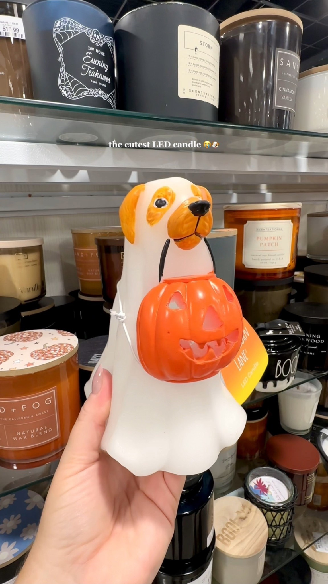 the cutest led halloween dog candle!

Halloween decor, fall decor, Halloween candle, led candle, Halloween dog, Halloween finds, fall finds

#LTKSeasonal #LTKFindsUnder50 #LTKHome