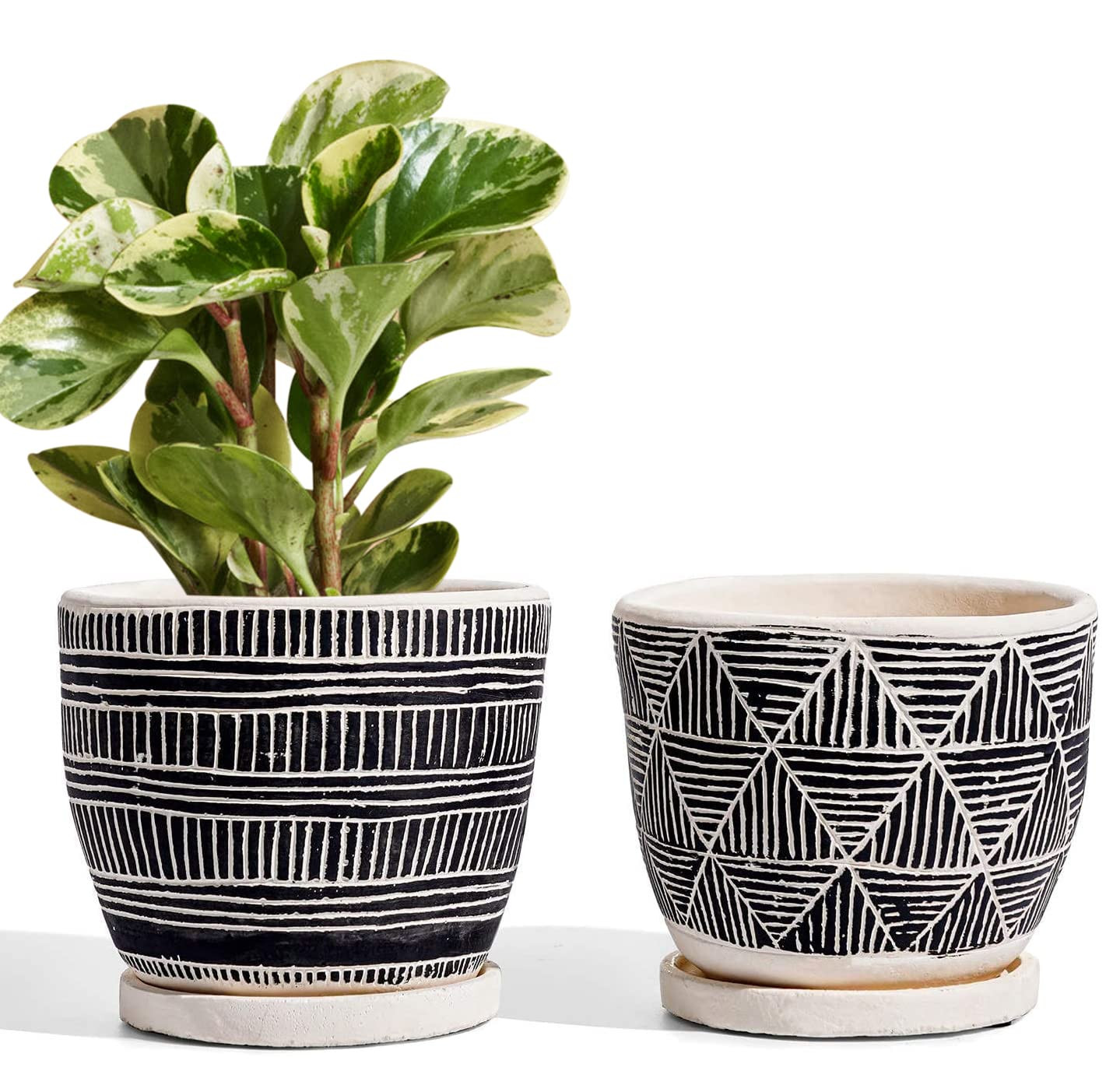 LE TAUCI 5.5 Inch Boho Plant Pots Indoor, Artisanal Cement Pots for Indoor Plants, Succulent Pots... | Amazon (US)