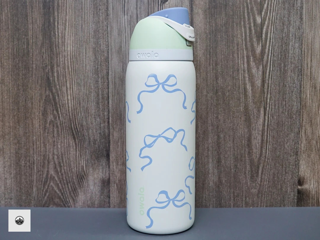 Bow Owala FreeSip Bottle - Sublimated Design- Unique Gift for Teachers, Bachelorettes, & Baby Sho... | Etsy (US)
