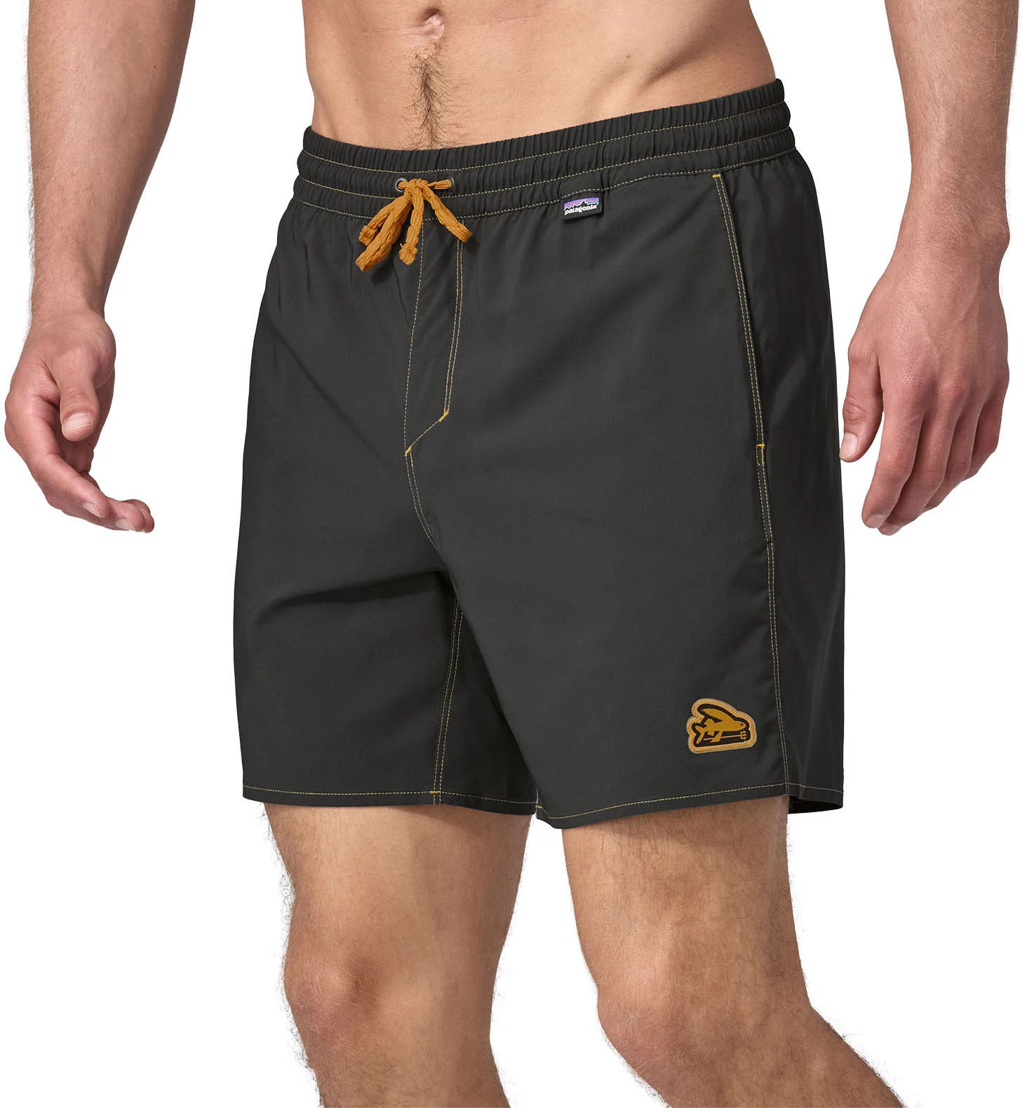 Patagonia Men's Hydropeak 16" Volley Swim Shorts, Small, Ink Black | Public Lands
