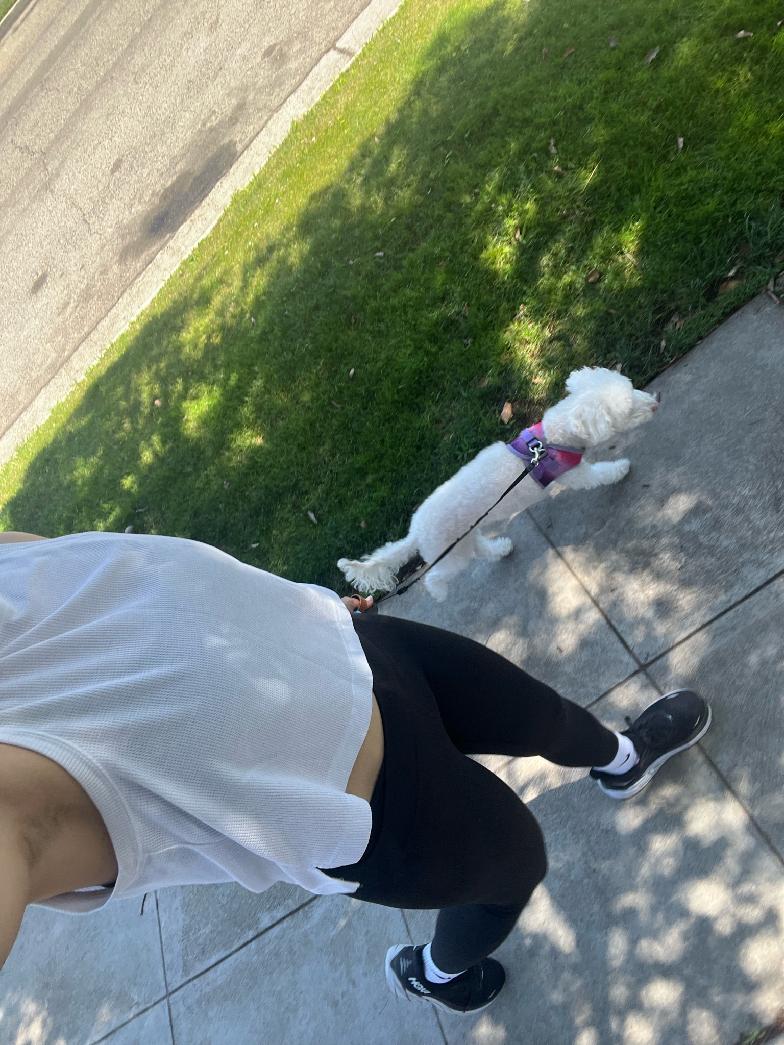 Morning Walk 

#LTKFitness #LTKFindsUnder50 #LTKShoeCrush