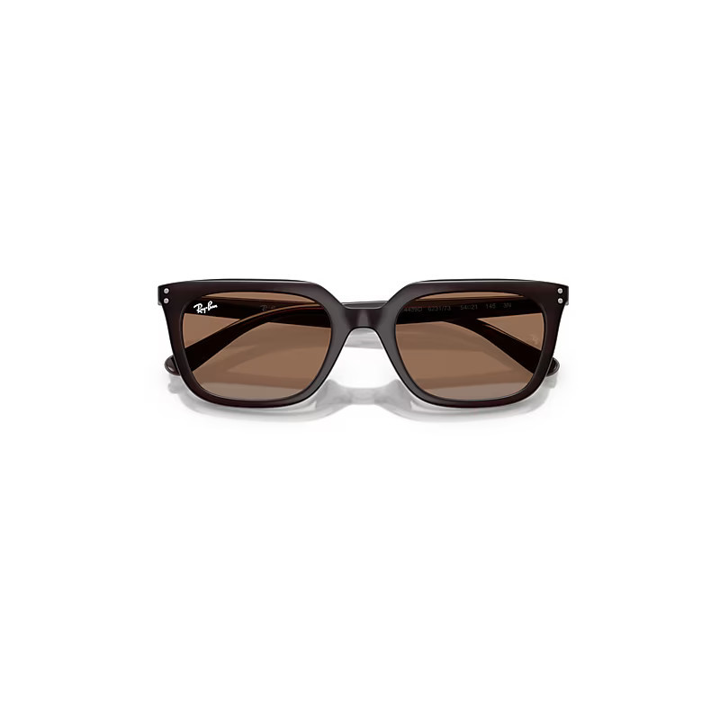 Ray-Ban Rb4439d Sunglasses Opal Brown Frame Brown Lenses 54-21 | Ray-Ban (US)