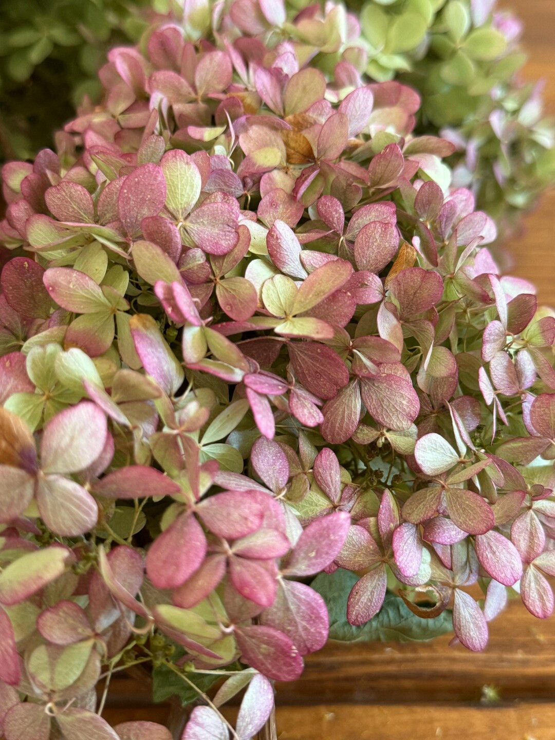 Dried Limelight Hydrangea Stems, Dried Flowers, Dried Flower Heads, Dried Flower Craft Kit, DIY W... | Etsy (US)