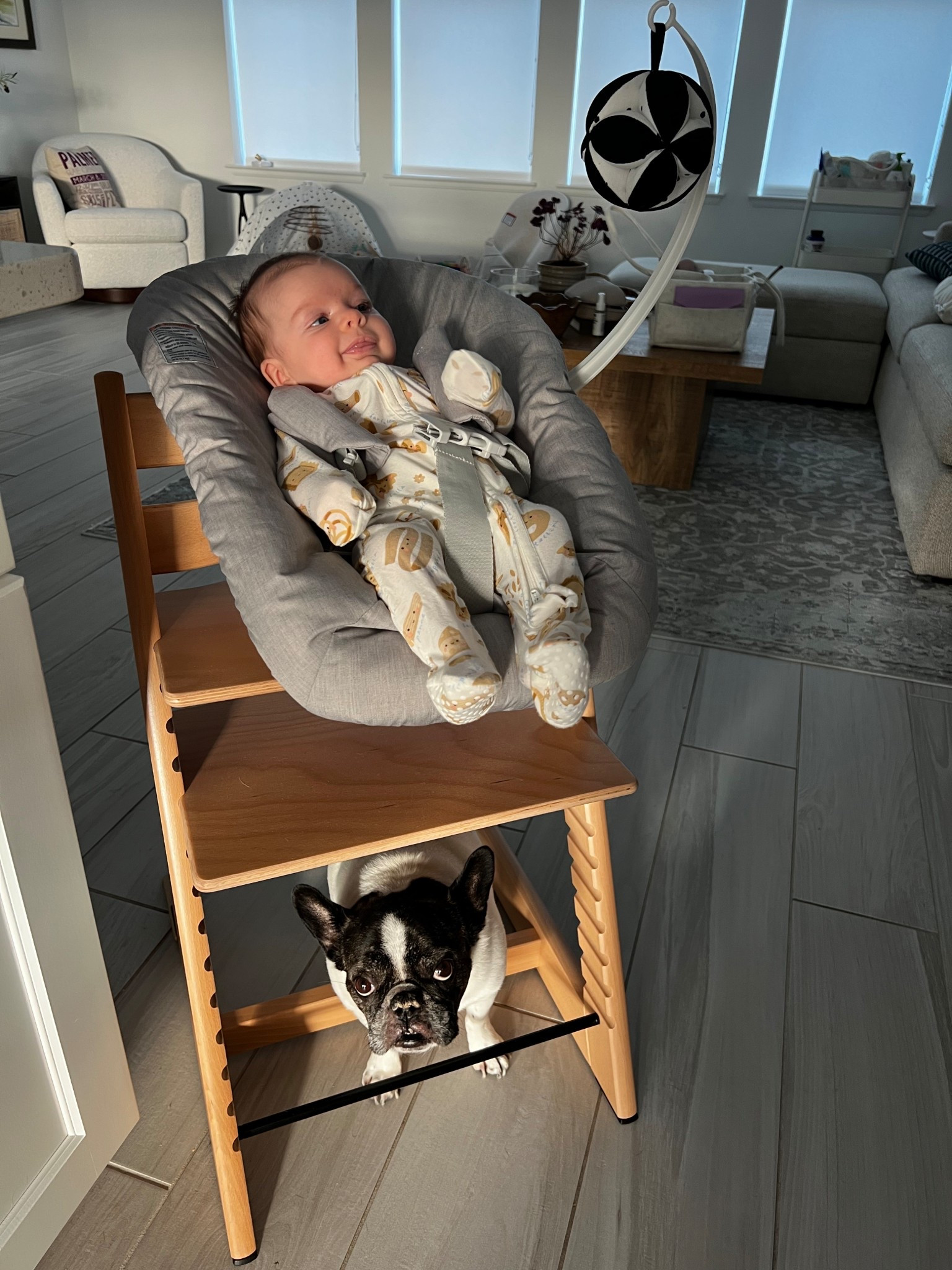 We LOVE our Stokke Tripp Trapp high chair. When I need to get things don’t in the kitchen but she also wants me close, this infant attachment is amazing!  

#LTKKids #LTKBaby #LTKFamily