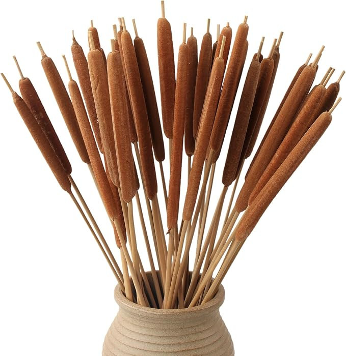 MIHUAGE Dried Natural Cattails - 20PCS for DIY Floral Arrangements and Home Office Decor - 17 Inc... | Amazon (US)