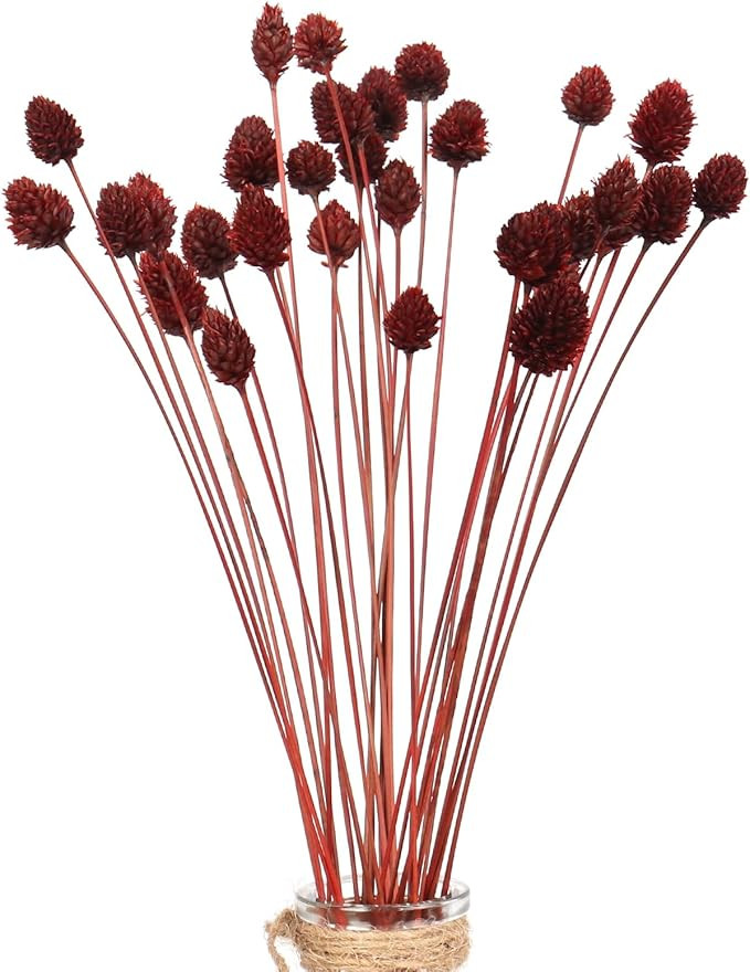 60pcs Red Dried Mini Pine Cone Ball Flowers with Stems 17" - Billy Ball Flowers for Vase, DIY Cra... | Amazon (US)