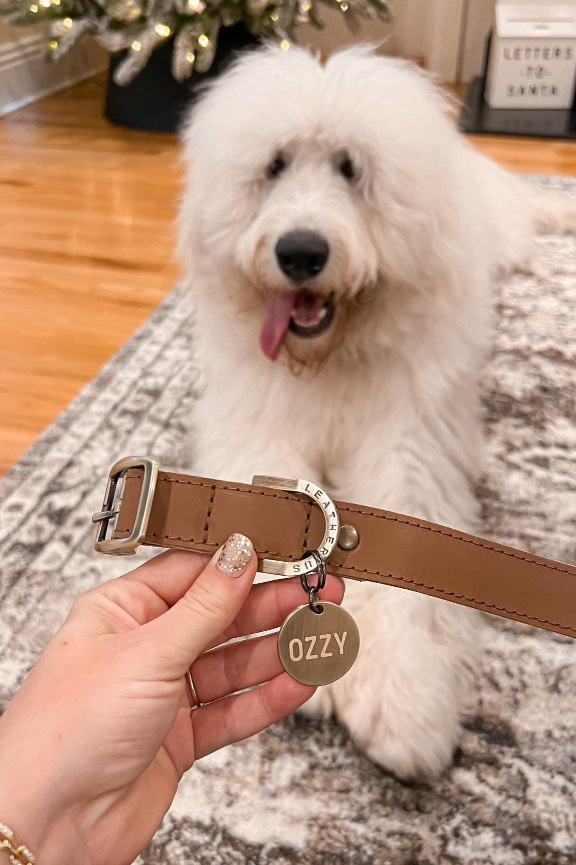 Etsy small shop
Gifts for dogs pet owners
Custom dog leash & collar 

#etsy #giftideas #laurabeverlin

#liketkit #LTKGiftGuide #LTKCyberweek #LTKHoliday


#LTKHoliday #LTKGiftGuide #LTKsalealert