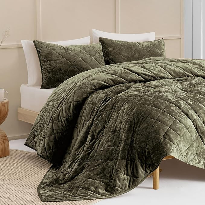 SHALALA Luxury Velvet Quilt Set Queen Size,Ultra Soft Lightweight Summer Velvet Comforter Set, Ov... | Amazon (US)