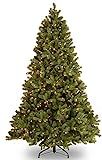 Amazon.com: National Tree Company Pre-Lit 'Feel Real' Artificial Full Downswept Christmas Tree, G... | Amazon (US)
