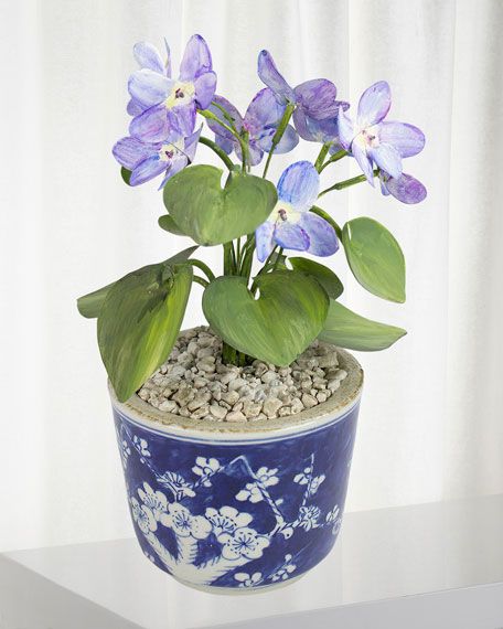 Charlotte Moss for Tommy Mitchell Violet February Birth Flower in Ceramic Pot | Bergdorf Goodman