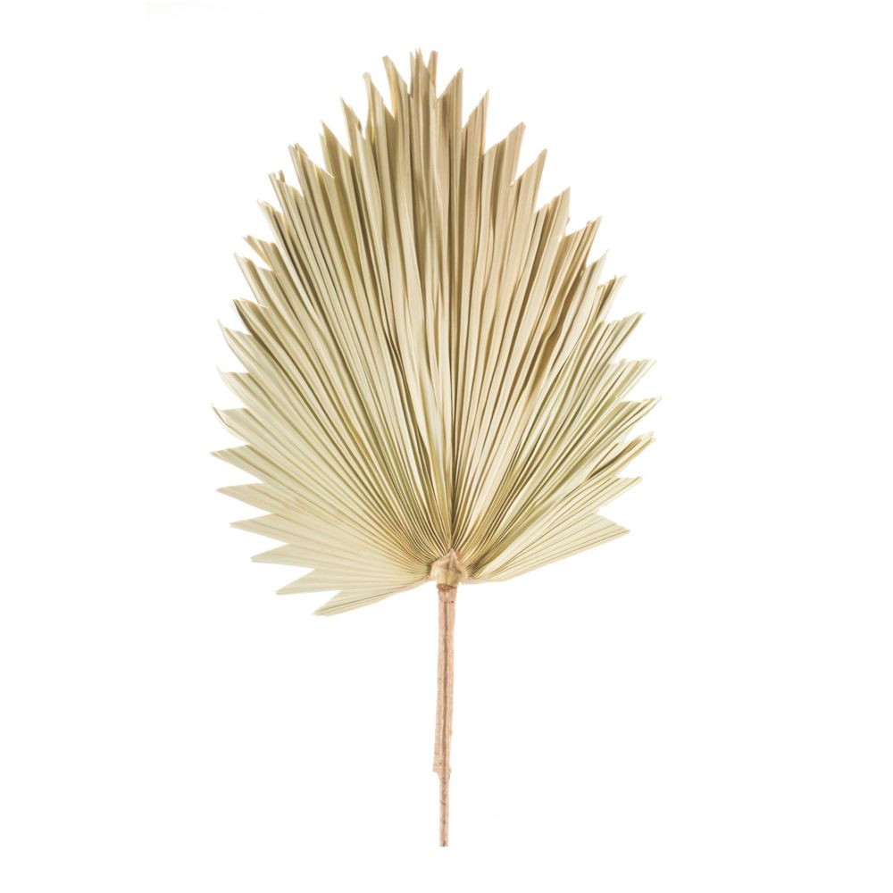 Melrose International Fan Palm Leaf (Set Of 6) 42In | Oriental Trading Company