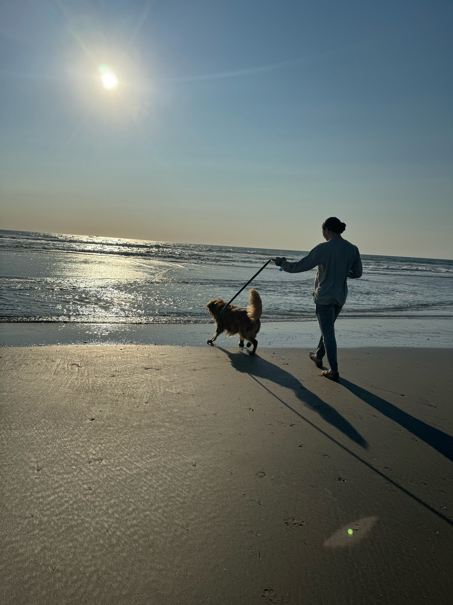 Asher’s first time at the beach! #dogmom #doglife #dog 

#LTKGiftGuide #LTKHome