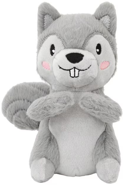 FRISCO Camping Squirrel Plush Squeaky Dog Toy - Chewy.com | Chewy.com