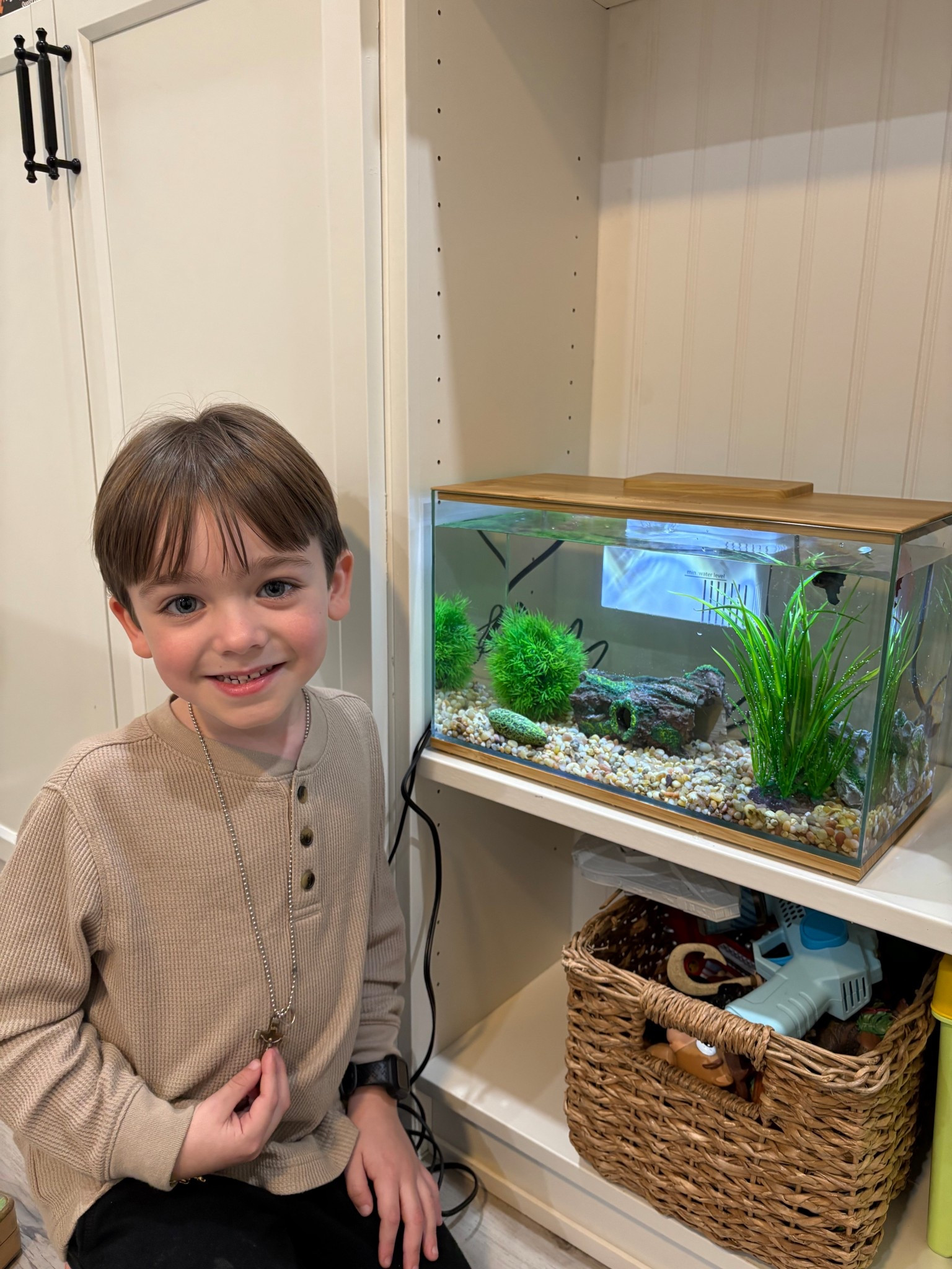 Everything you need for your kid’s first pet fish 💙

#LTKPets #LTKKids #LTKmomlife