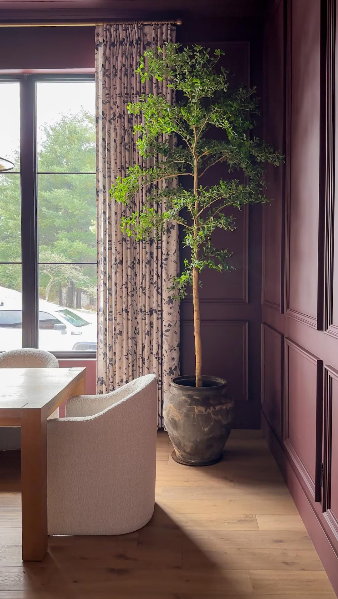 Faux Black Olive Tree, Shady Lady Tree, Olive Tree, Bucida Buceras Tree | Etsy (US)