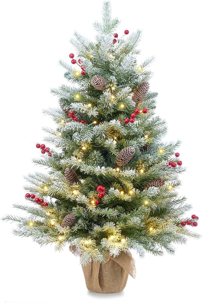 Somikis 3ft Pre-Lit Artificial Flocked Mini Christmas Tree with 70 LED Lights and Realistic Nordi... | Amazon (US)