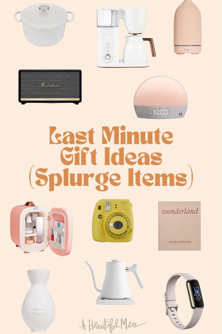 Last minute gift ideas for when you want to splurge a bit!

#LTKHoliday #LTKGiftGuide