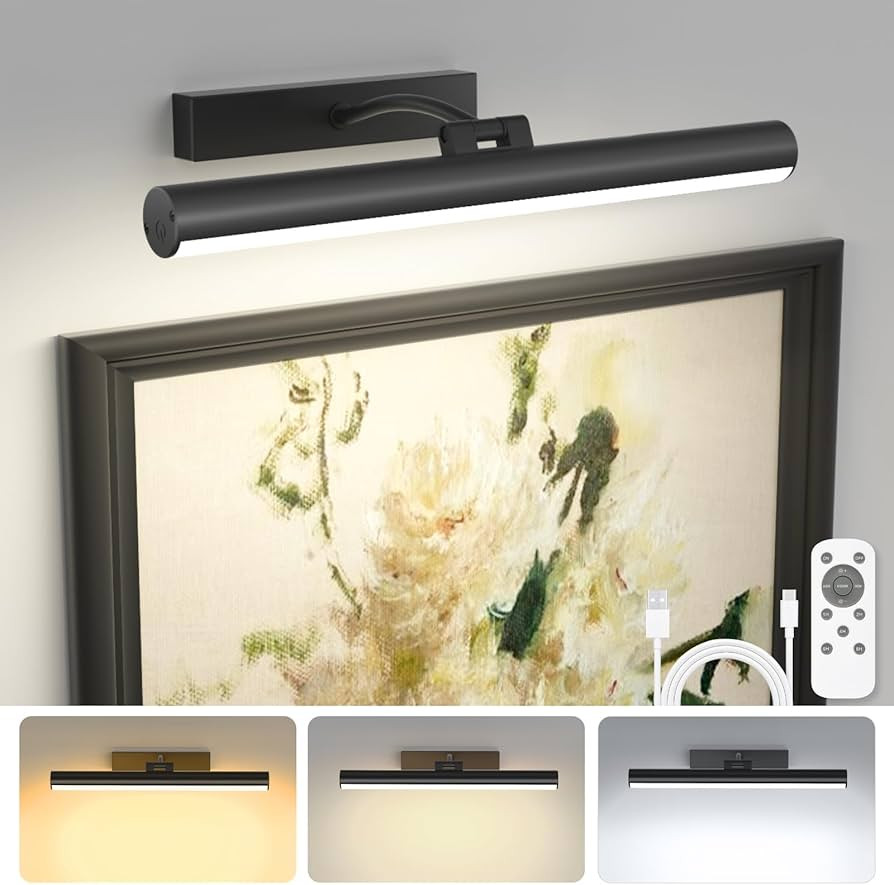 Bridika Picture Lights for Wall Battery Operated with Remote, 3 Color Modes and Dimmable Recharge... | Amazon (US)