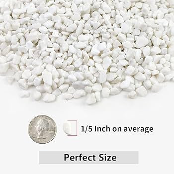 YISZM 2LB Succulent and Cactus Gravel Pebbles, 1/5 Inch White Natural Decorative Polished Stones,... | Amazon (US)